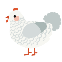 A white and silver chicken with a lace pattern