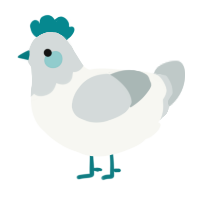 A white and silver chicken with a head pattern