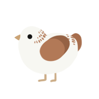 A white and brown chicken with a neck-band pattern