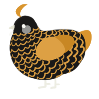 A sable and orange chicken with a lace pattern