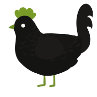 A black and sable chicken with a half-lace pattern