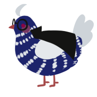 Jonker, a navy and mist chicken with a bar pattern