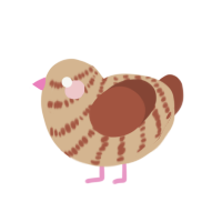 A beige and russet chicken with a bar pattern