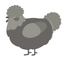 A grey and ash chicken with a head pattern