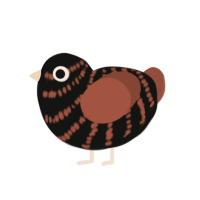 A black and russet chicken with a bar pattern