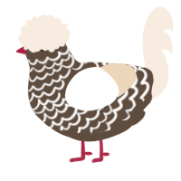 A bark and cream chicken with a lace pattern