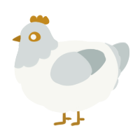 A white and silver chicken with a head pattern