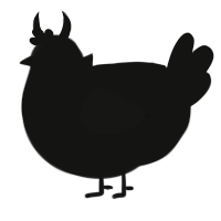 A black chicken