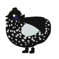 A black and silver chicken with a speckle pattern