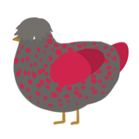 A grey and crimson chicken with a speckle pattern