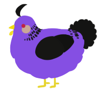 A blurple and black chicken with a neck-band pattern