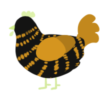 Bumblebee, a black and ochre chicken with a bar pattern