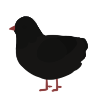 A sable and black chicken with a head pattern