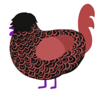 A black and red chicken with a double-lace pattern