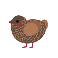 A bark and brown chicken with a lace pattern