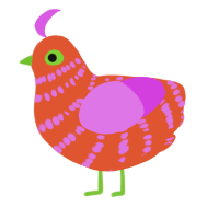 A vermilion and orchid chicken with a bar pattern
