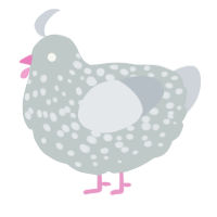 A silver and mist chicken with a speckle pattern