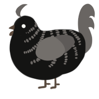 A black and grey chicken with a half-bar pattern