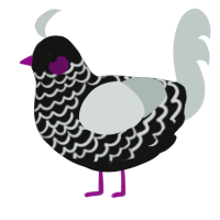 A black and silver chicken with a lace pattern