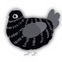 A white and ash chicken with a bar pattern