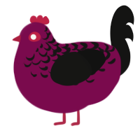 A wine and black chicken with a half-lace pattern