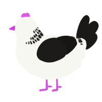 A white and sable chicken with a neck-band pattern
