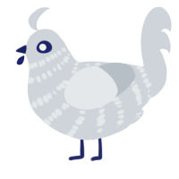 冬, a mist chicken with a bar pattern
