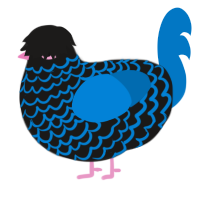 A sable and sapphire chicken with a lace pattern