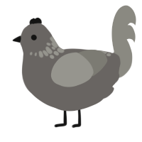 A grey and ash chicken with a neck-speckle pattern