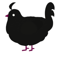 A black chicken with a half-lace pattern