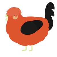 A vermilion and sable chicken