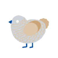 A mist and beige chicken with a lace pattern