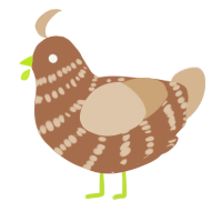 A brown and beige chicken with a bar pattern