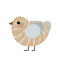 A beige and silver chicken with a bar pattern