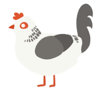 A white and grey chicken with a neck-band pattern