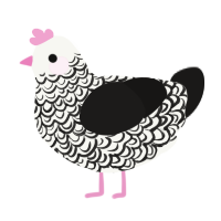 A white and sable chicken with a double-lace pattern