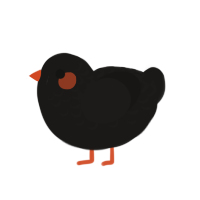 A sable chicken with a half-lace pattern