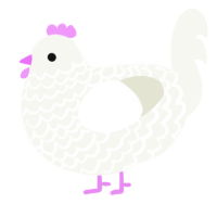 A white chicken with a lace pattern