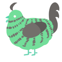A spring and grey chicken with a bar pattern
