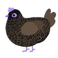 A black and bark chicken with a double-lace pattern