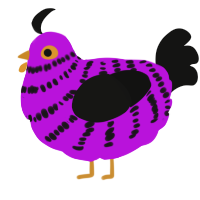 A amethyst and black chicken with a bar pattern