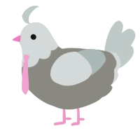 A ash and silver chicken with a head pattern