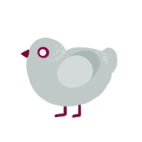 A silver chicken with a neck-band pattern
