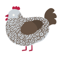 A mist and bark chicken with a double-lace pattern