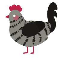 A ash and sable chicken with a bar pattern