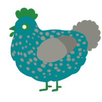 A teal and ash chicken with a speckle pattern