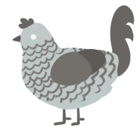 A silver and grey chicken with a lace pattern