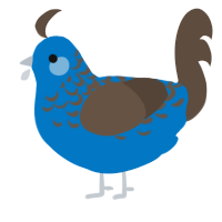 A sapphire and bark chicken with a half-lace pattern