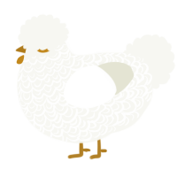 A white chicken with a double-lace pattern