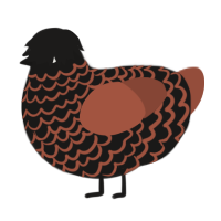 A sable and russet chicken with a lace pattern